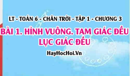 Hình vuông, Tam giác đều, Lục giác đều: Khái niệm, tính chất và cách vẽ? Toán 6 chân trời Tập 1 chương 3 Bài 1